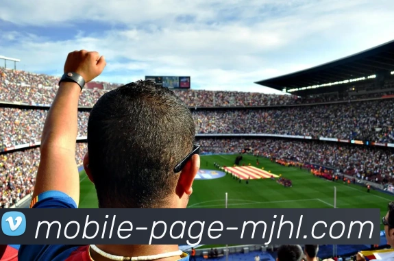 麻将胡了平台生态图