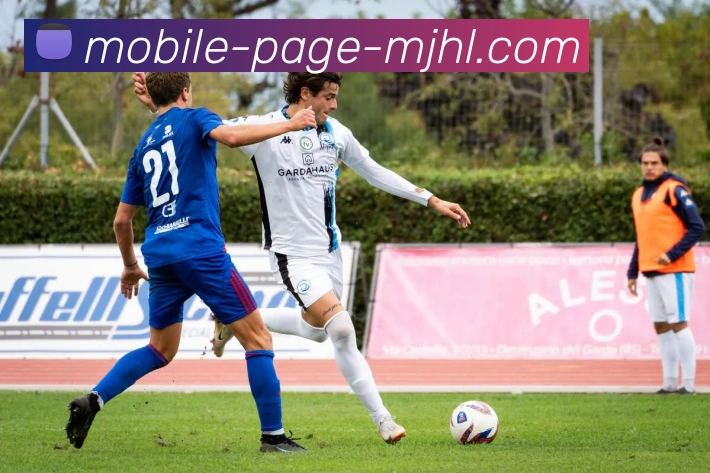 麻将胡了APP 封面图